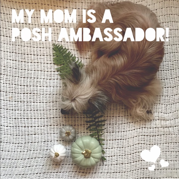 Shop with confidence! π₯° - Picture 2 of 3